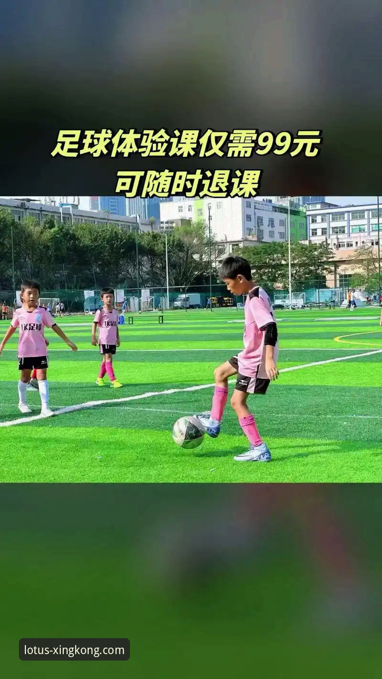 星空体育平台深度解析：专业在线娱乐体验全面解读