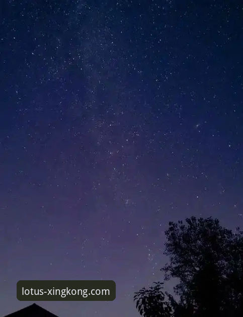 掌握星空官网手机版的使用技巧：资深用户的实用指南
